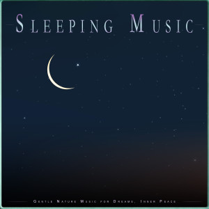 Sleeping Music Experience的專輯Sleeping Music: Gentle Nature Music for Dreams, Inner Peace