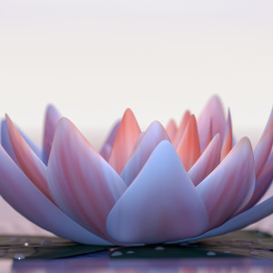 Listen to Deep Flower song with lyrics from The Healing Buddha