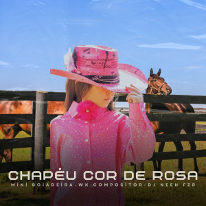 ดาวน์โหลดและฟังเพลง Chapéu Cor de Rosa พร้อมเนื้อเพลงจาก MINI BOIADEIRA