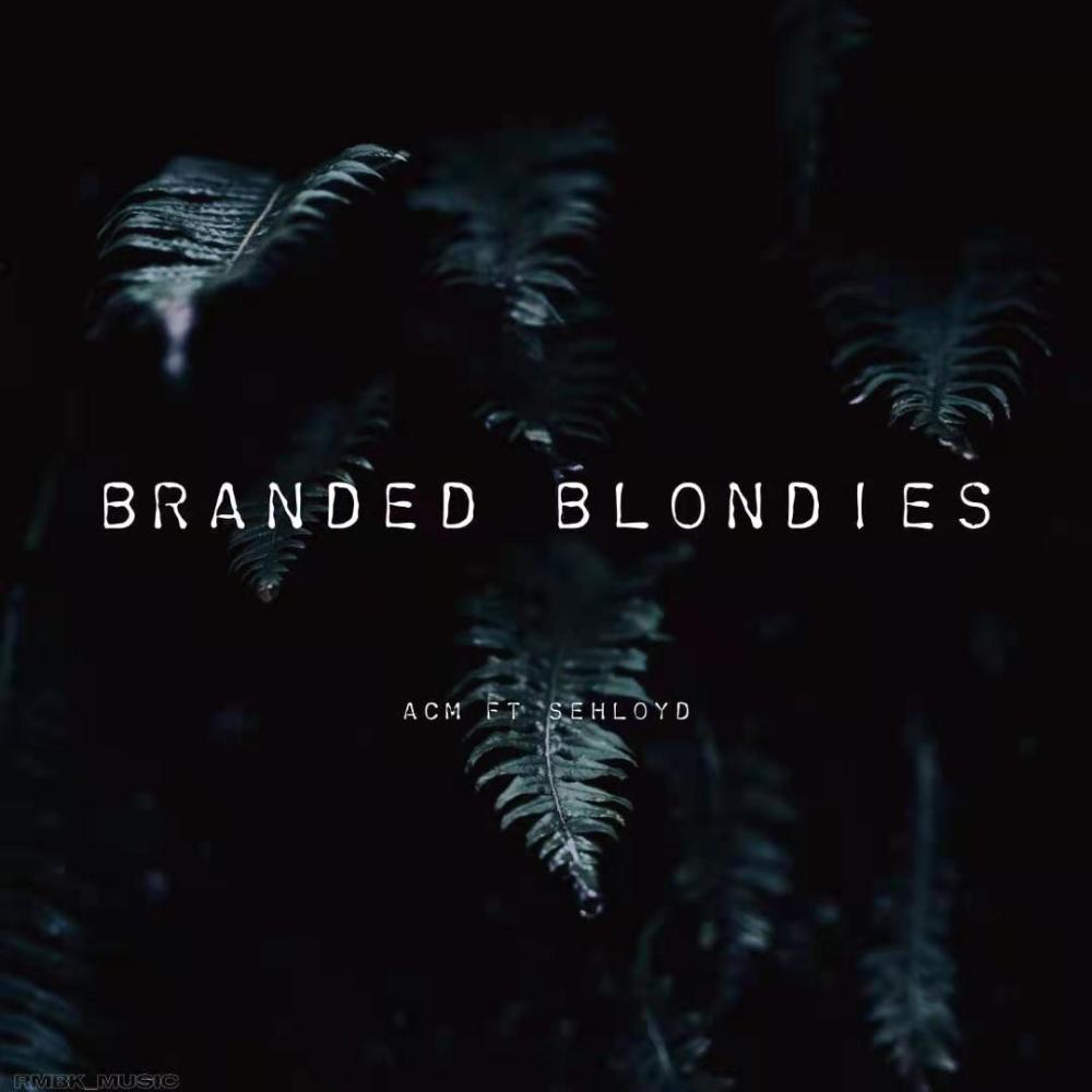 BRANDED BLONDIES (feat. Sehloyd) (Explicit)