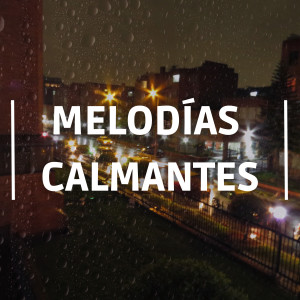 Meditación Maestro的專輯Melodías Calmantes