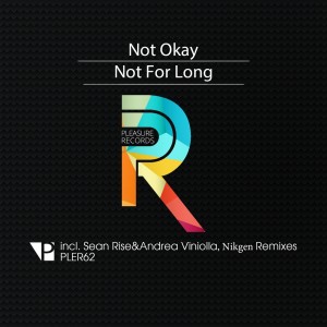 收聽Not Okay的Not for Long (Nikgen Remix)歌詞歌曲