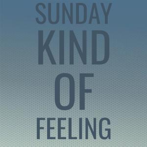 Listen to Sunday Kind Of Feeling song with lyrics from Tinging Mother's Circus