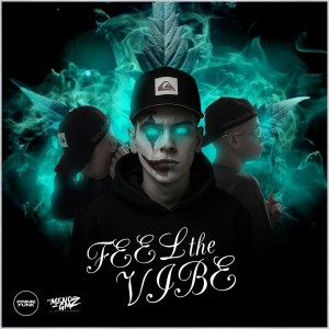 Album Feel The Vibe (Explicit) from DJ Meno GMZ