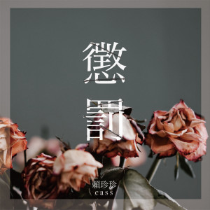 Listen to 懲罰 song with lyrics from 赖珍珍