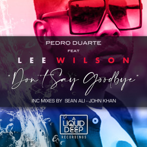 收聽Pedro Duarte的Don't Say Goodbye (John Khan Take It Easy Vocal Mix)歌詞歌曲