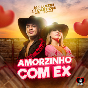 Album Amorzinho Com Ex from DJ HUNTEr