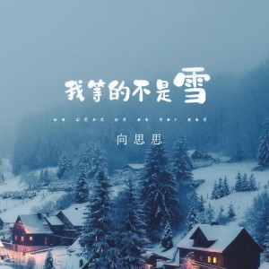 收聽向思思的我等的不是雪歌詞歌曲