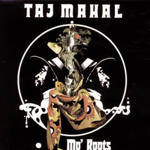 ดาวน์โหลดและฟังเพลง Big Mama พร้อมเนื้อเพลงจาก Taj Mahal