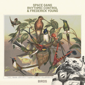 ดาวน์โหลดและฟังเพลง Birds พร้อมเนื้อเพลงจาก Space Gang