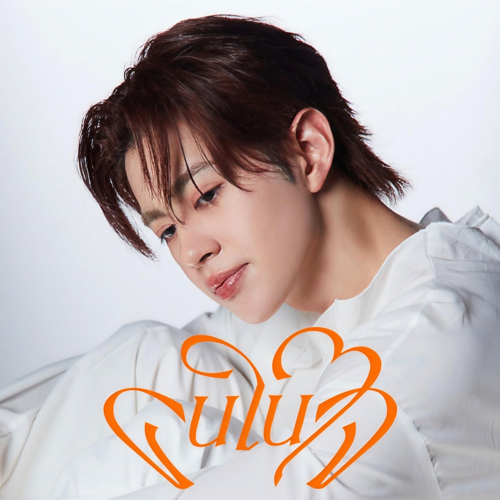 คนในใจ (My Only One)