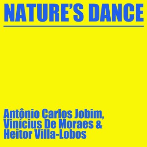 ดาวน์โหลดและฟังเพลง Savage War Dance พร้อมเนื้อเพลงจาก Heitor Villa-Lobos