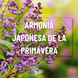 Armonía Japonesa de la Primavera