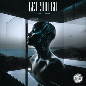Album Let You Go from Vlare