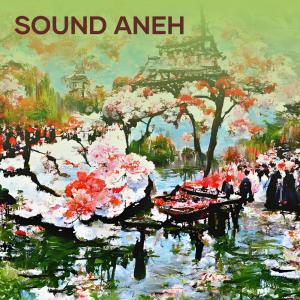 Listen to Sound Aneh song with lyrics from Smvll