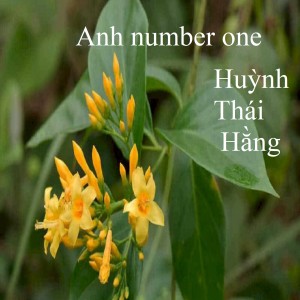 Album Anh number one from 