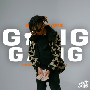 Listen to GANG GANG (Explicit) song with lyrics from Sunnybone