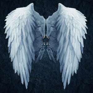 Album Angel in the Sky (Explicit) from CTE