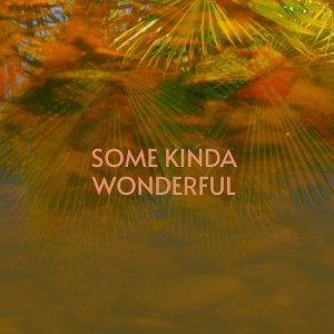 Album Some Kinda Wonderful from 