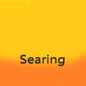 Listen to Searing (Explicit) song with lyrics from Thomas Fagan