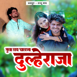Album Tula Lai Chalana Dulaheraja from 