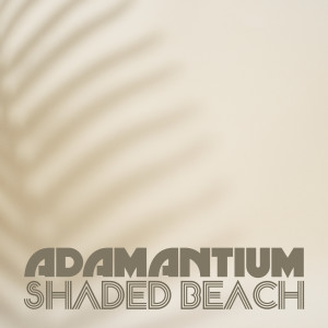 Listen to Shaded Beach song with lyrics from Adamantium