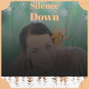 Listen to Snooze Adessenarian song with lyrics from Nilde