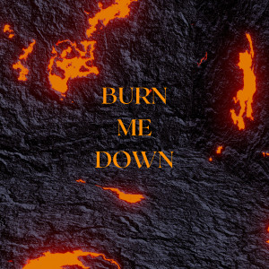 Album Burn Me Down (Explicit) from 