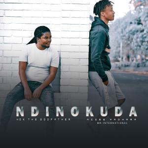 Listen to NDINOKUDA (Radio edit) song with lyrics from Hardknox HDK