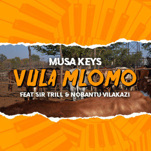 收聽Musa Keys的Vula Mlomo (Radio Edit)歌詞歌曲
