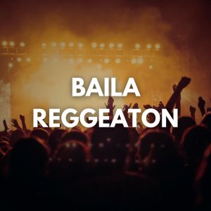 收聽Dj Perreo Mix的Baila Reggeaton歌詞歌曲