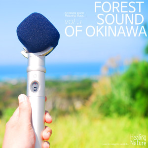 Dengarkan Sound of Nature in Okinawa Clean Forest 3 lagu dari 힐링 네이쳐 Nature Sound Band dengan lirik