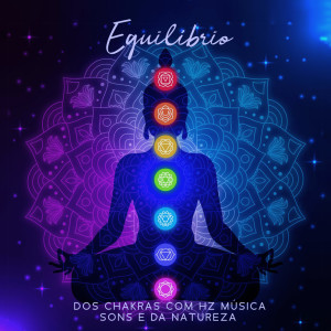 Meditação Mantras Guru的專輯Equilíbrio dos Chakras com Hz Música Sons e da Natureza
