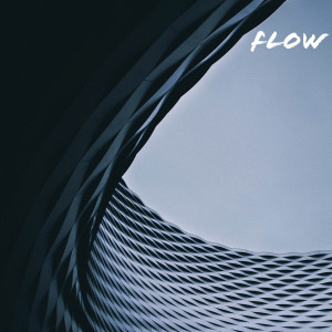 Listen to Flow (Explicit) song with lyrics from Lucas Brown
