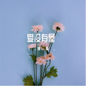 Album 爱没有屋 oleh 唐磊