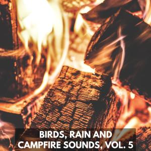 Various Artists的專輯Birds, Rain and Campfire Sounds, Vol. 5