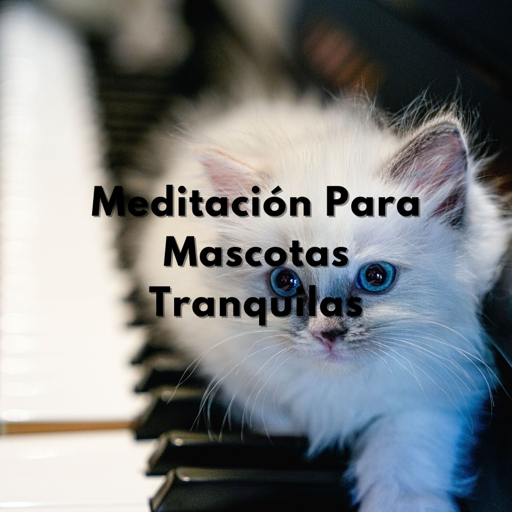 Armonía Canina
