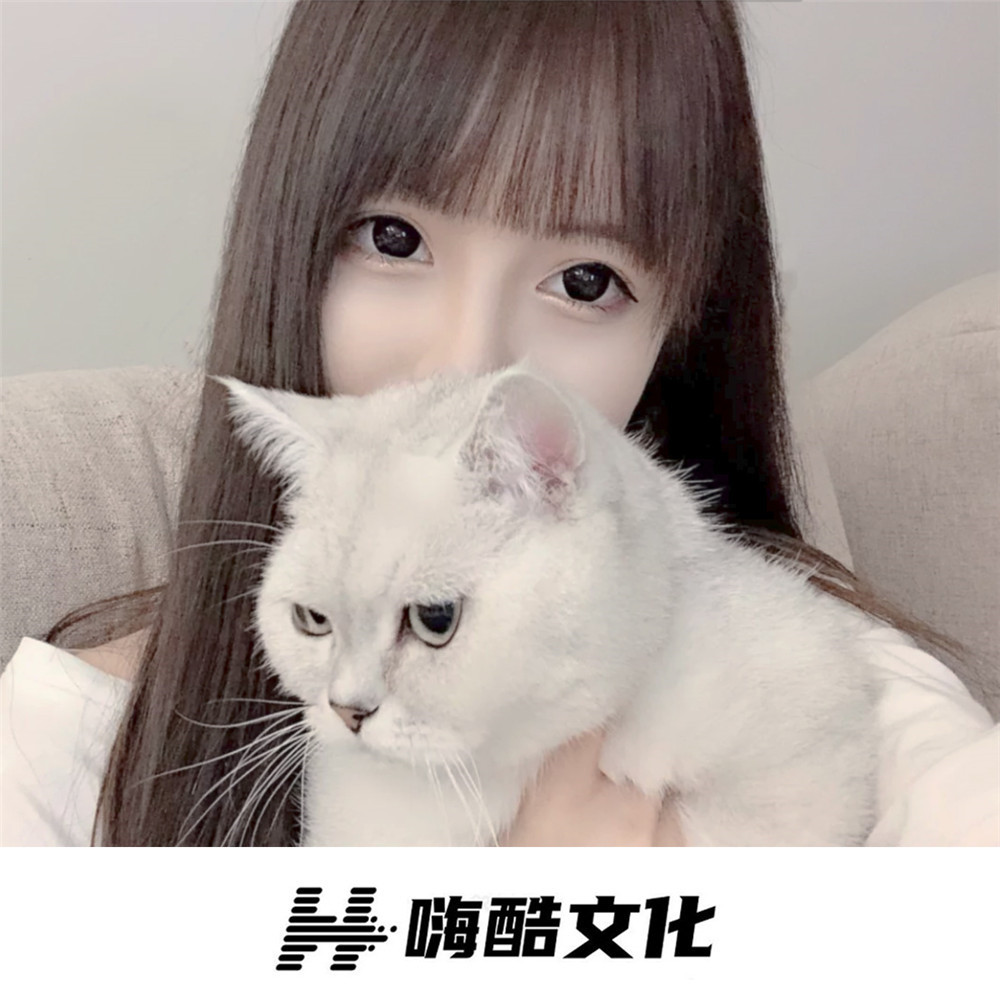时间会帮你攒够失望 (DJ版)
