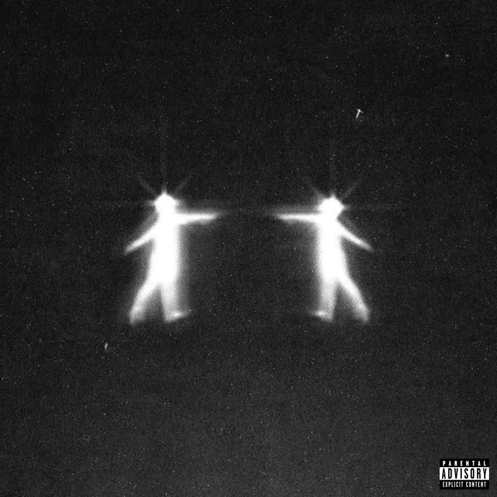 flaws (Explicit)