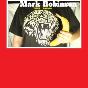 收聽Mark Robinson的The Time of Our Lives歌詞歌曲
