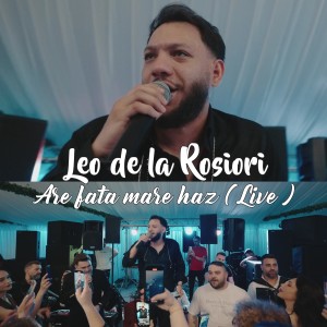 Listen to Are fata mare haz (Live) song with lyrics from Leo de la Rosiori