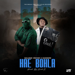 อัลบัม Hae Bohla ศิลปิน Malome Vector