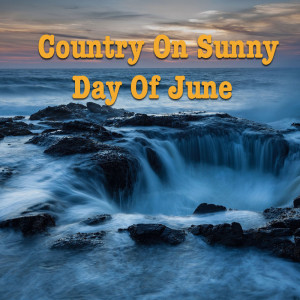 Listen to Seven Lonely Days song with lyrics from Wildlife