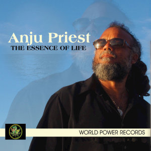 ดาวน์โหลดและฟังเพลง Never Gonna Give You Up พร้อมเนื้อเพลงจาก Anju Priest