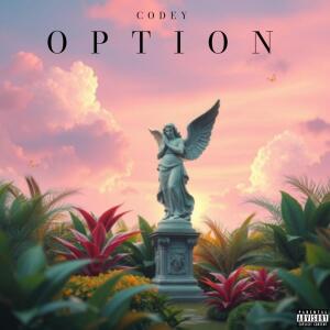 Album Option (Explicit) from 