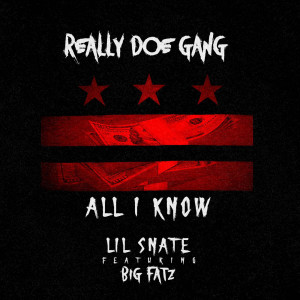 Album All I Know (Explicit) from RDG Lil Snate