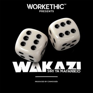 收聽Wakazi的Siri Ya Mafanikio歌詞歌曲