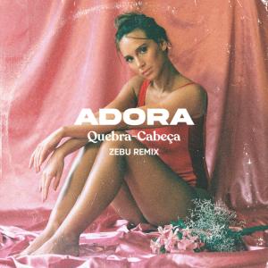 Listen to Quebra-Cabeça (Zebu Remix|Zebu Remix) song with lyrics from Isadora