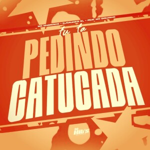 Album Tu ta Pedindo Catucada (Explicit) from DJ CAUAZIN ZL