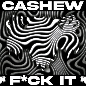 Listen to F*ck It (Extended Mix|Explicit) song with lyrics from CASHEW